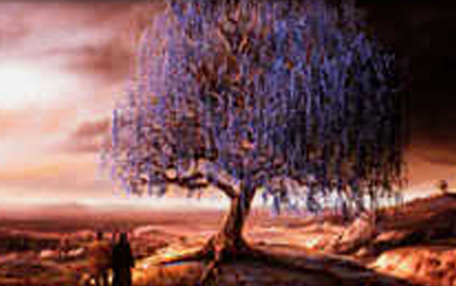 Куда мечты. Куда приводят мечты фильм дерево. Дерево из фильма куда приводят мечты. Пейзажи из фильма куда приводят мечты. Красивые деревья из фильмов.