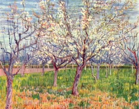 "Orchard with Blossoming Trees" (1888, oil on canvas) by Vincent van Gogh