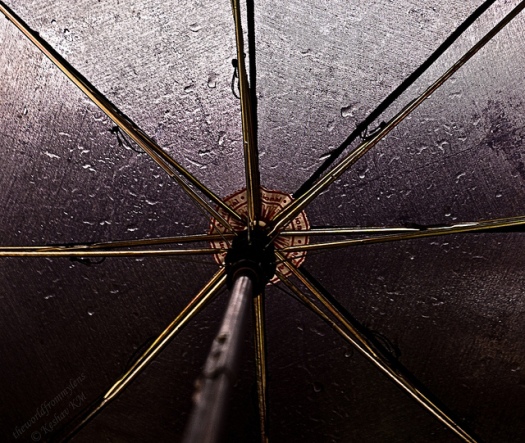 Rainy Day by Keshav Mukund Kandhadai FCC